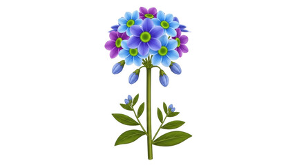 Isolated stem of blue and purple flowers is perfect for springtime designs, nature scenes