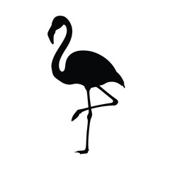 Elegant black flamingo standing on one leg silhouette isolated on white background