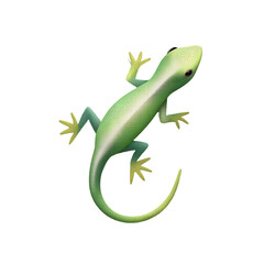 Fototapeta premium Isolated chameleon icon on a transparent vibrant animal illustration
