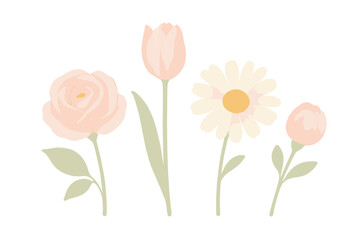 Delicate watercolor floral collection featuring a blooming pink rose, an elegant tulip, a bright daisy, and a charming flower bud