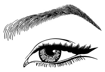 Illustration with woman's eye, eyelashes and eyebrow. Makeup Look. Tattoo design. Logo for brow bar or lash salon.