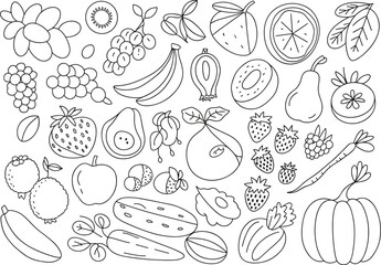 Collection of hand-drawn fruits vegetables and berries in outline food healthy eating