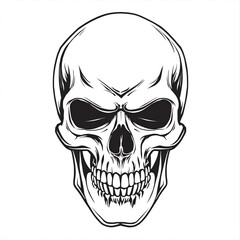 Fototapeta premium skull and crossbones