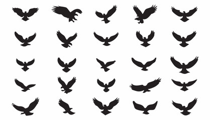 Clip art of birds of prey in ...