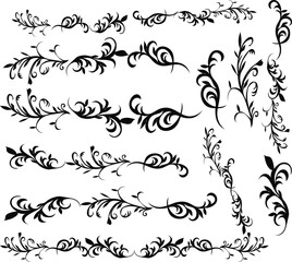 flower, botany, flower pattern loral, leaves, and flower collection free vector illustration
