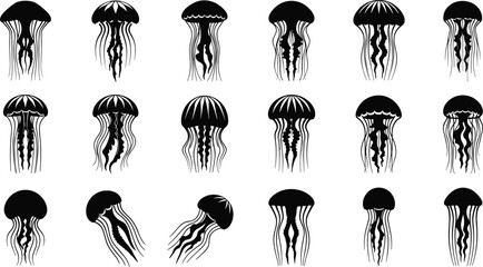 Jellyfish illustration set, black and white vector, marine invertebrates, tentacle shapes, ocean species, underwater art, aquatic icons