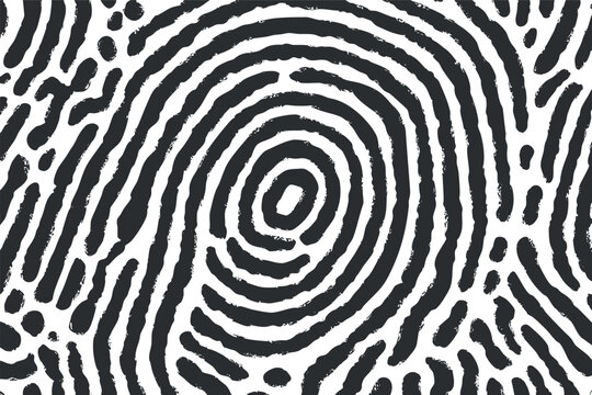 Abstract illustration of a fingerprint pattern in black and white for design and security themes..