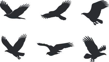 Obraz premium Collection of bird silhouettes in flight showcasing various species such as hawks and eagles..