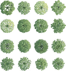 Tree top view, green canopy, stylized foliage, vector trees, landscape design, nature texture, garden planning, architectural symbols, ecological layout, leaf illustration