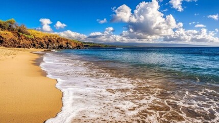 Stunning high-definition beach scene featuring a clear sky.