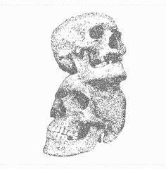 Halloween vector illustration featuring detailed human skull with trendy stippling dot shading technique