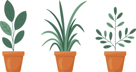Minimal indoor plant illustration, potted greenery decor, modern home design, terracotta pots, natural light, flat vector, botanical houseplants, aesthetic art