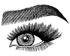 Illustration with woman's eye, eyelashes and eyebrow. Makeup Look. Tattoo design. Logo for brow bar or lash salon.