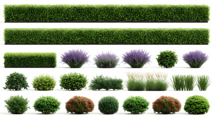 Vibrant Tropical & Deciduous Trees Collection