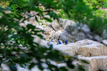 長野県上松町・寝覚めの床 ― 緑豊かな森と清流に囲まれた美しい岩肌の渓谷風景