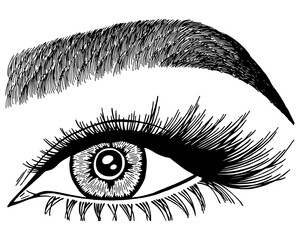 Illustration with woman's eye, eyelashes and eyebrow. Makeup Look. Tattoo design. Logo for brow bar or lash salon.
