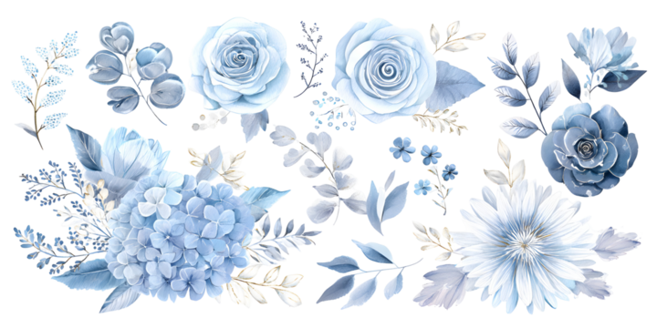 Blue botanical flower set with leaves, watercolor floral collection isolated on transparent background for decor, wedding and design

