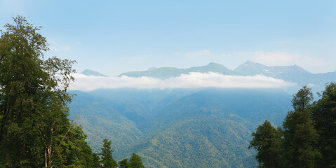 Panorama of a beautiful summer landscape, mountains and forest.
