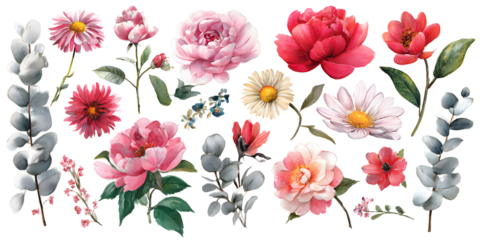 Botanical pink flower set with leaves and blossoms, floral collection watercolor illustration isolated on transparent background for decor