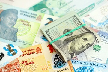 Nigerian naira currency money bills and bunch of us dollar banknotes. The concept of economics and...