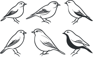 Obraz premium Stylized black and white line art of various birds in different poses and expressions.