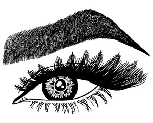Illustration with woman's eye, eyelashes and eyebrow. Makeup Look. Tattoo design. Logo for brow bar or lash salon.