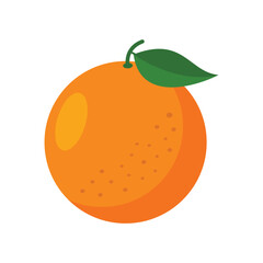 Fresh orange flat vector illustration on white background