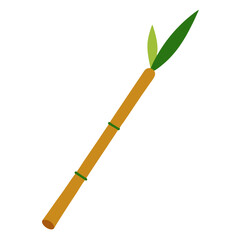 bamboo isolated on white background