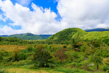 Lush green meadows and mountains at Norikura Kogen Nagano Japan early autumn September scenic landscape
