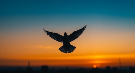 Silhouette of a bird soaring against a sunset sky