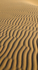 Sand Dune Waves A Textured Desert Landscape.