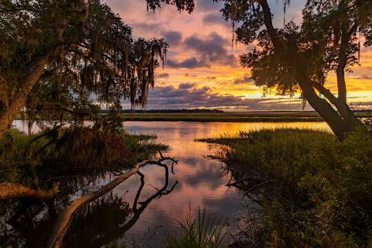Beautiful sunset over a serene river with trees and grasses at dusk in a tranquil natural setting