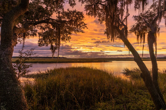 Beautiful sunset over a serene river with trees and grasses at dusk in a tranquil natural setting