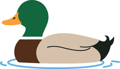 Mallard duck swimming on water surface animal illustration vector vector