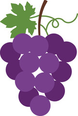 Vibrant purple grapes bunch fresh healthy fruit isolated vector