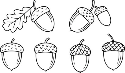 Hand drawn acorn vector illustrations featuring oak leaves scalable eps graphics © Mahraz