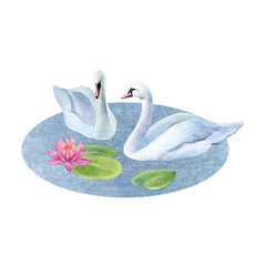 Watercolor composition of white swans, pond and lotus with water lily leaves. Good for postcards, invitations, greeting cards