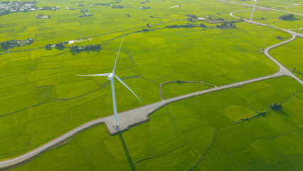 Green rice fields with wind turbines in rural Vietnam. Royalty high-quality free best stock of...