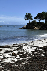 petite plage vide