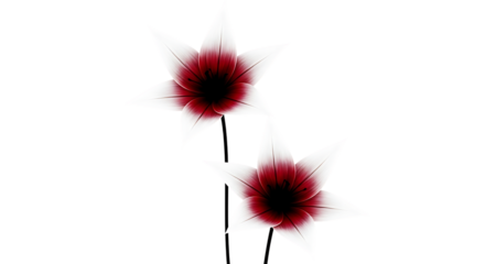 Illustration of two abstract red flowers with dark centers isolated on transparent background