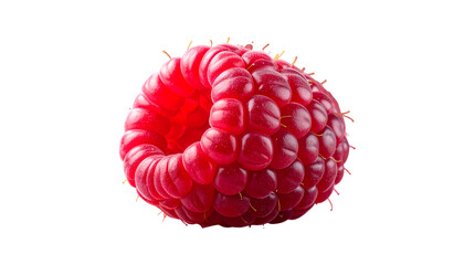 Macro shot of a single ripe red raspberry isolated against black
