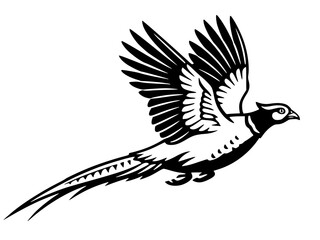 Flying Male Ring-Necked Pheasant Bird in Flight Side View, pheasant, flying, bird, hunting, wildlife