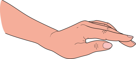 Realistic female hand with palm down isolated on white background