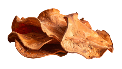 Close-up view of dried, overlapping leaves with textured surfaces