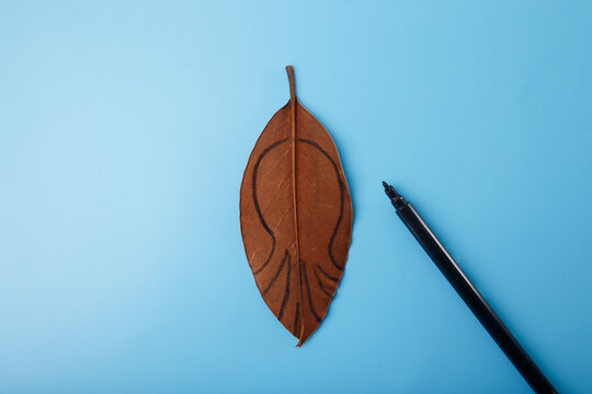 leaf collage on blue background diy creative project making octopus step by step education content for kids eco awareness and children learning materials useful for publishing eco brands schools,