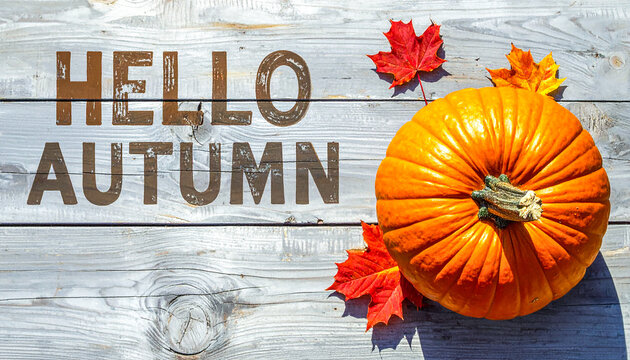 Hello autumn text with pumpkin and scattered leaves