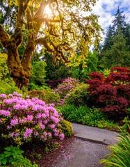 Fototapeta premium Vibrant garden path through a spring forest