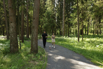 Fototapeta premium Family pet care in action,dad and daughter taking their tiny dog for a walk in a green forest, promoting responsible ownership