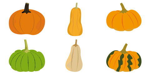 Variety of colorful pumpkins. Bright colorful vector illustration.
