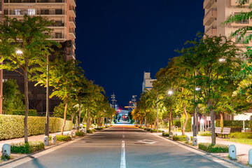 人影のない深夜のストリート：街灯の暖かさ
